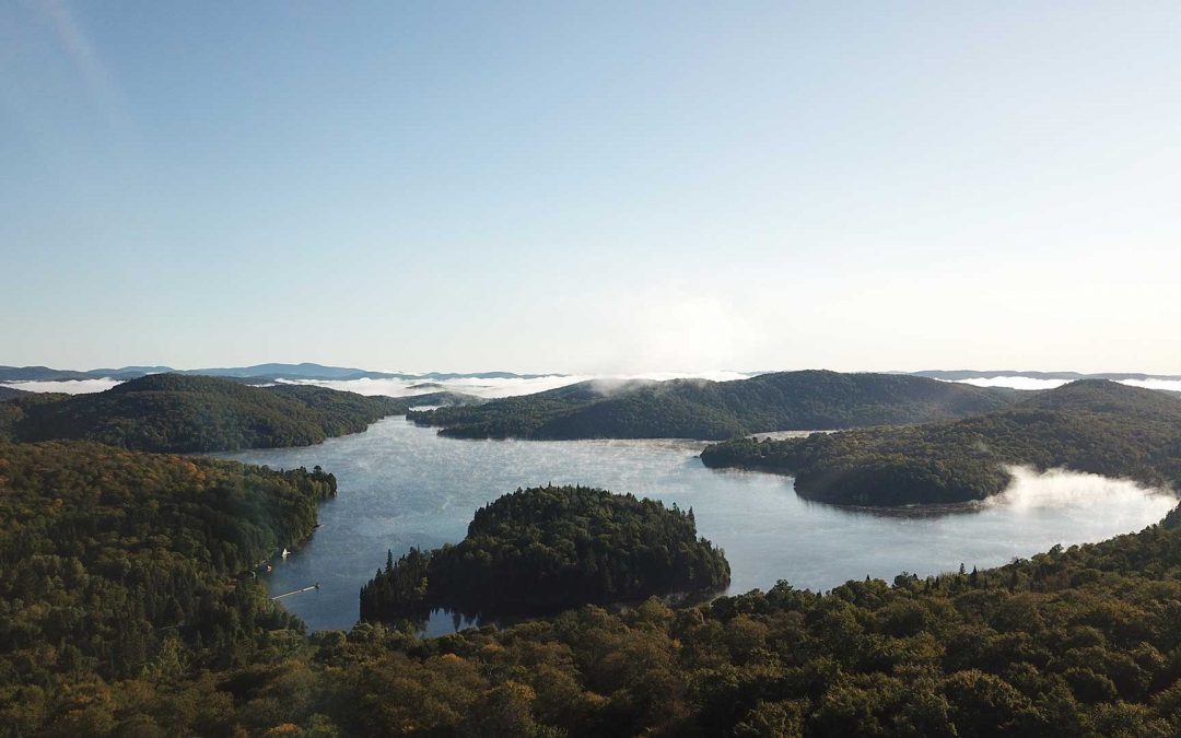 Newsletter – March 2020